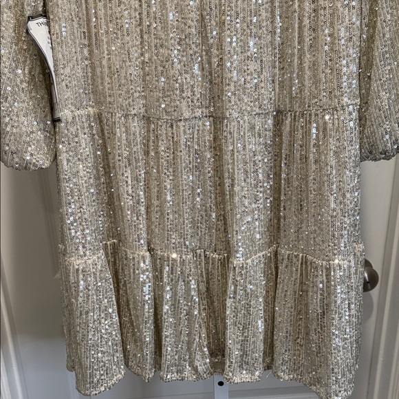 NWT Eliza J Silver Sequin Balloon Sleeve Skater Dress Size 8 New Years Party - Picture 11 of 15